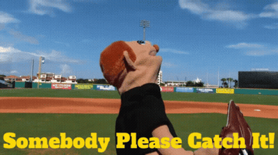 Puppet On Baseball Field Saying Somebody Please Catch It GIF