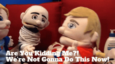 Puppet Saying Are You Kidding Me GIF