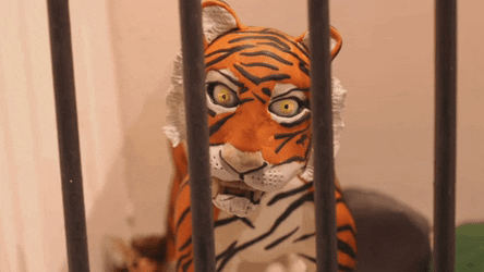 Puppet Tiger In Jail GIF