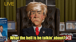 Puppet Walter As Donald Trump GIF
