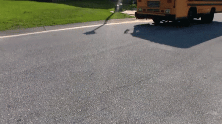 Puppets Fighting Over Short Bus GIF