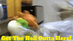 Puppets Get Me Outta Here GIF