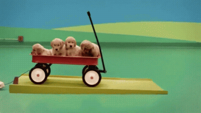 Puppies In Red Wagon GIF