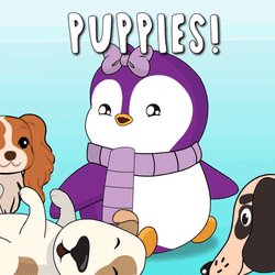 Puppies Puppy GIF