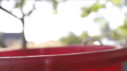 Puppies Surprise Slow Motion GIF