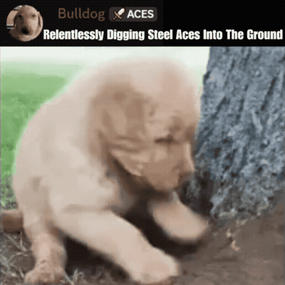 Puppy Digging Bulldog Aces GIF
