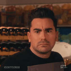 Puppy Dog Eyes Funny Pout David Rose GIF