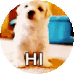 Puppy Dog Sticker GIF