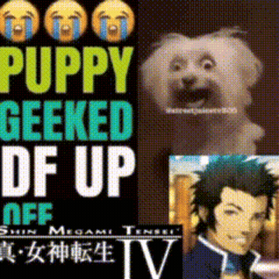 Puppy Geeked Df Up Off GIF