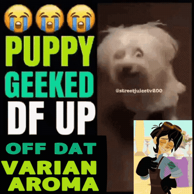 Puppy Geeked Df Up Off Dat Varian Aroma GIF