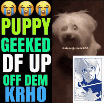 Puppy Geeked Df Up Off Dem Krho GIF