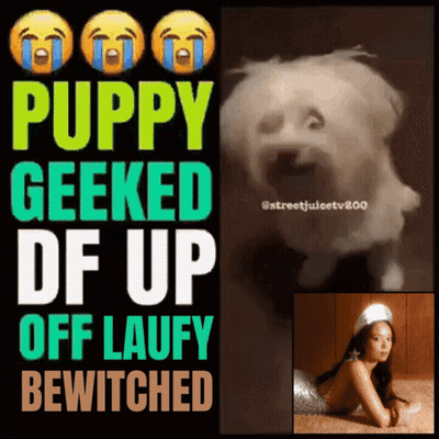 Puppy Geeked Up Laufy Bewitched GIF