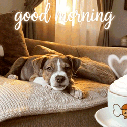 Puppy Good Morning GIF
