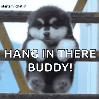 Puppy Hanging On Fence Says Hang In There Buddy GIF