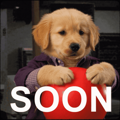 Puppy Holding Red Ball With Word Soon GIF