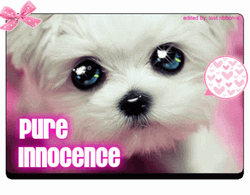 Puppy Innocent Eyes GIF