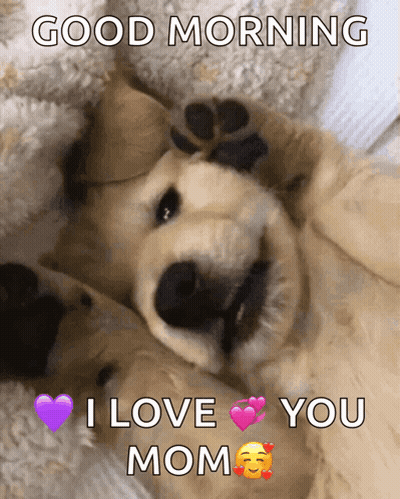 Puppy Laying On Back Saying Good Morning I Love You Mom GIF