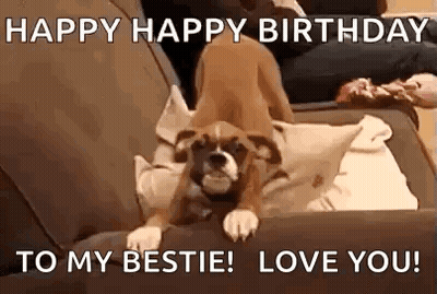 Puppy Laying On Couch Saying Happy Happy Birthday To My Bestie Love You GIF