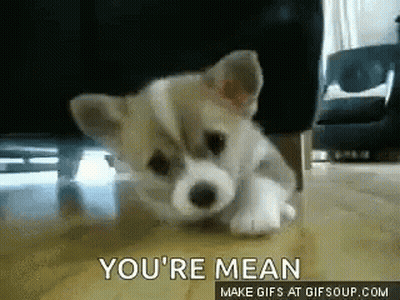 Puppy Laying With Youre Mean GIF