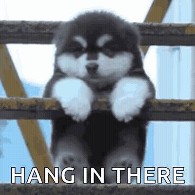 Puppy Leaning Over Railing Hang In There GIF
