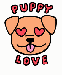 Puppy Love Heart Eyes GIF