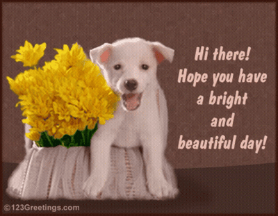 Puppy Next To Yellow Flowers Says Hi GIF