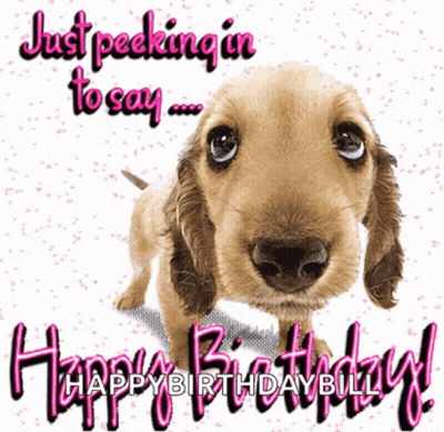 Puppy Peeking In To Say Happy Birthday Bill GIF