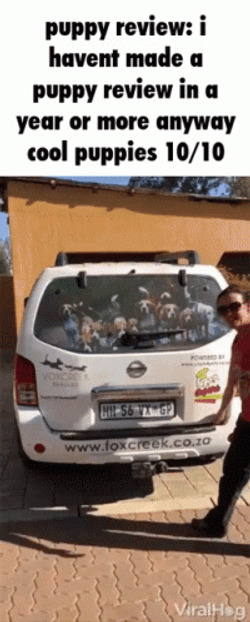 Puppy Review In A Year GIF