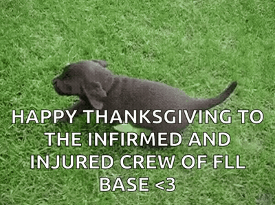 Puppy Running Happy Thanksgiving To FLL Base Crew GIF