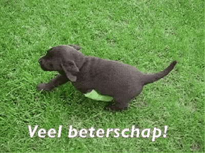 Puppy Running In Grass Veel Beterschap GIF