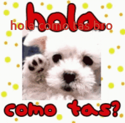 Puppy Saying Hola Como Tas Bro Como Tas GIF