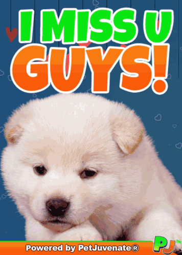 Puppy Saying I Miss U Guys GIF