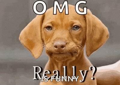 Puppy Saying OMG Really GIF