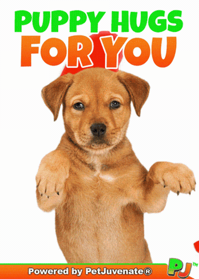 Puppy Saying Puppy Hugs For You GIF