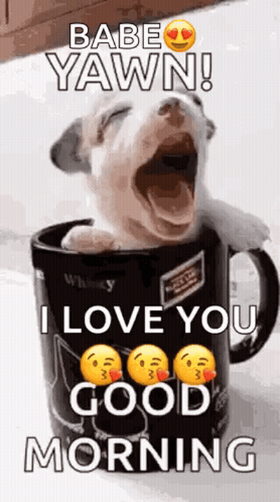 Puppy Sitting In Coffee Mug Yawning GIF