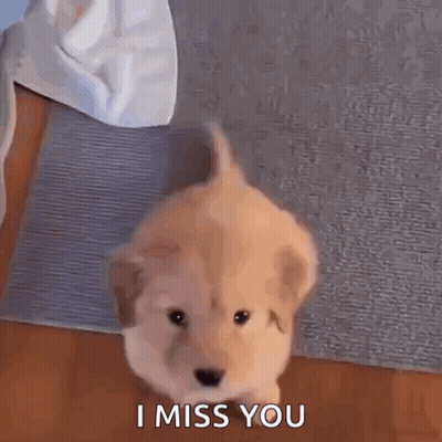 Puppy Sitting On Rug Saying I Miss You GIF