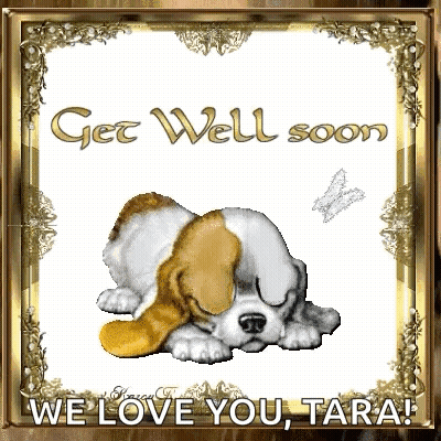 Puppy Sleeping Get Well Soon We Love You Tara GIF