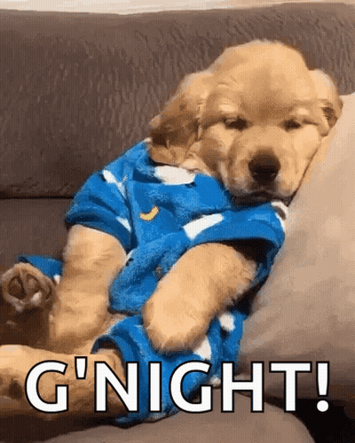 Puppy Sleeping On Couch In Blue Pajamas GIF