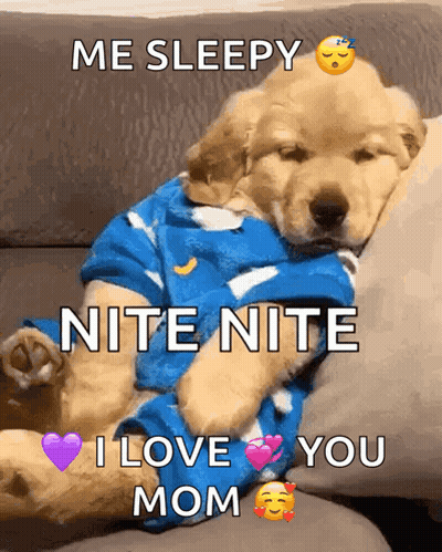 Puppy Sleeping With Me Sleepy Nite Nite I Love You Mom GIF