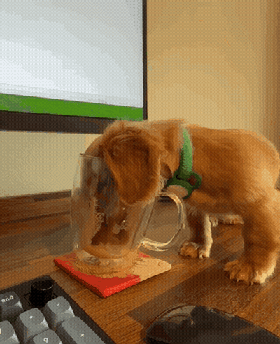 Puppy Sniffing Cup Next To Keyboard With End Key GIF