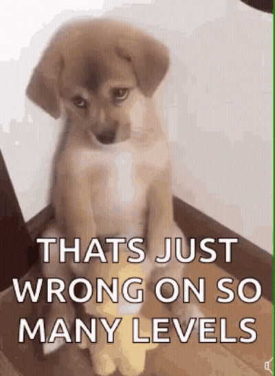 Puppy Staircase That's Just Wrong So Many Levels GIF