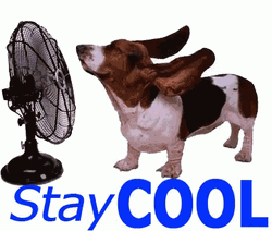 Puppy Staying Cool With Fan GIF