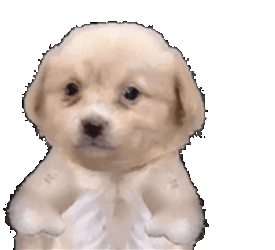 Puppy Thumbs Up Sticker GIF