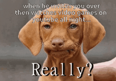 Puppy When He Invites You Over Then Watches Video Games On YouTube All Night GIF