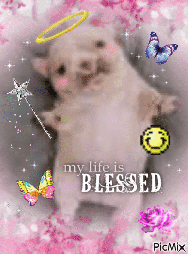 Puppy With Butterflies My Life Is Blessed GIF