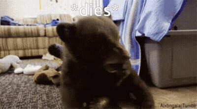 Puppy With Dies