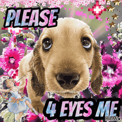 Puppy With Flowers Please 4 Eyes Me GIF