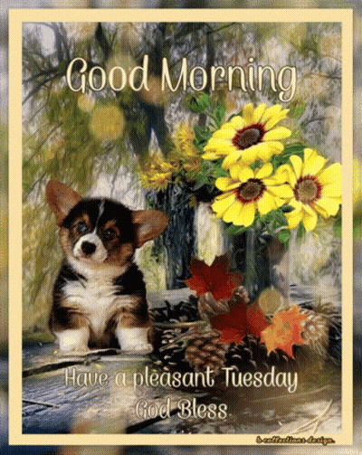 Puppy With Good Morning Have A Pleasant Tuesday God Bless