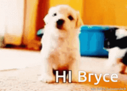 Puppy With Hi Bryce Above It GIF
