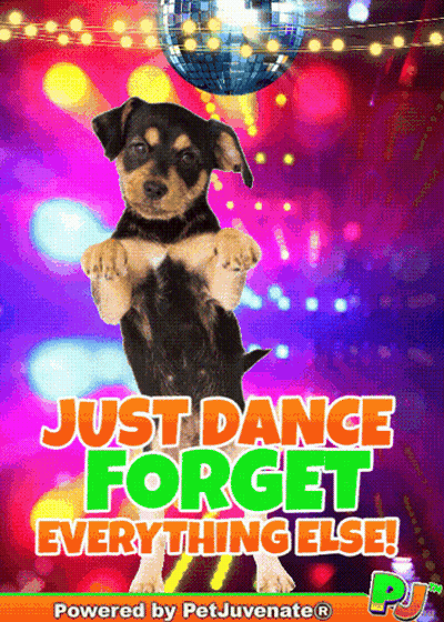 Puppy With Just Dance Forget Everything Else GIF